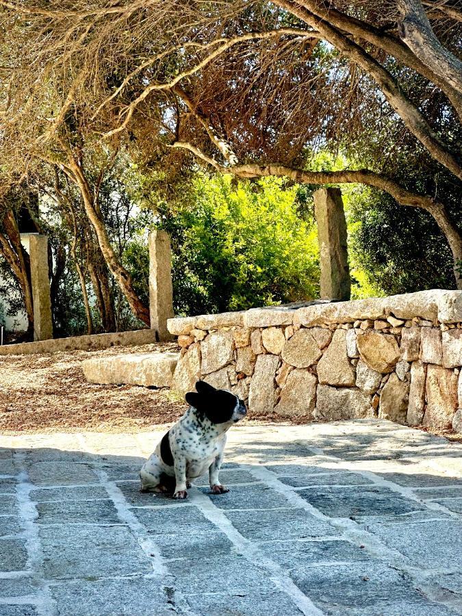 Villa Maria Cristina Santa Teresa Gallura Ngoại thất bức ảnh
