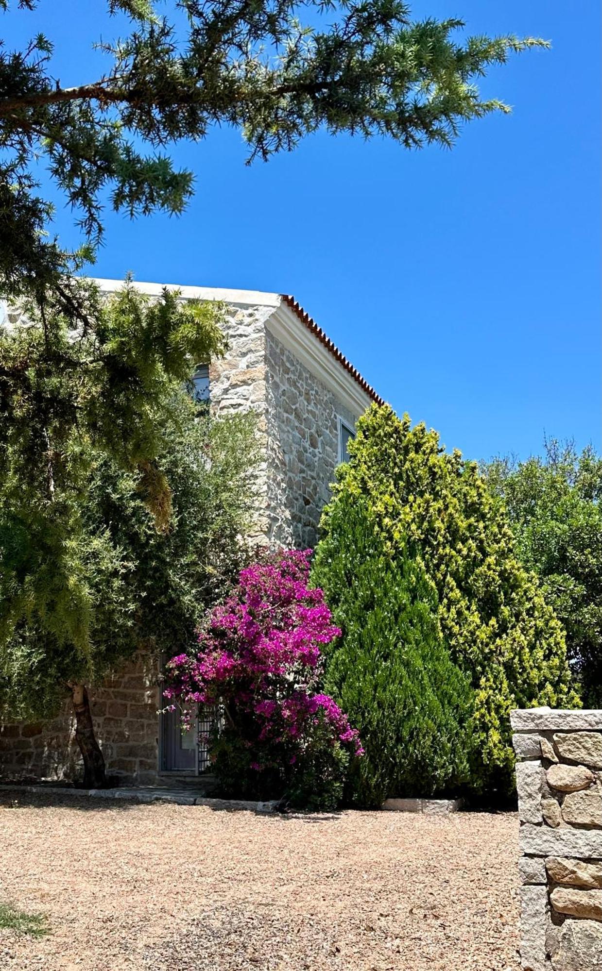 Villa Maria Cristina Santa Teresa Gallura Ngoại thất bức ảnh